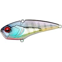 Amazon.co.jp: レイドジャパン(Raid Japan) レベルバイブ